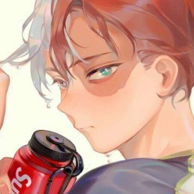4只皮皮虾1035元消费者称没收到退款